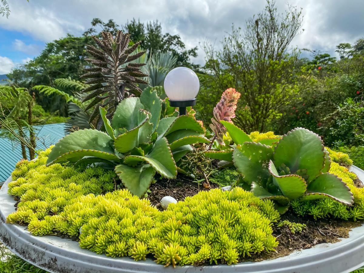 Retiro Del Lago Arenal Lodge El Castillo Kültér fotó